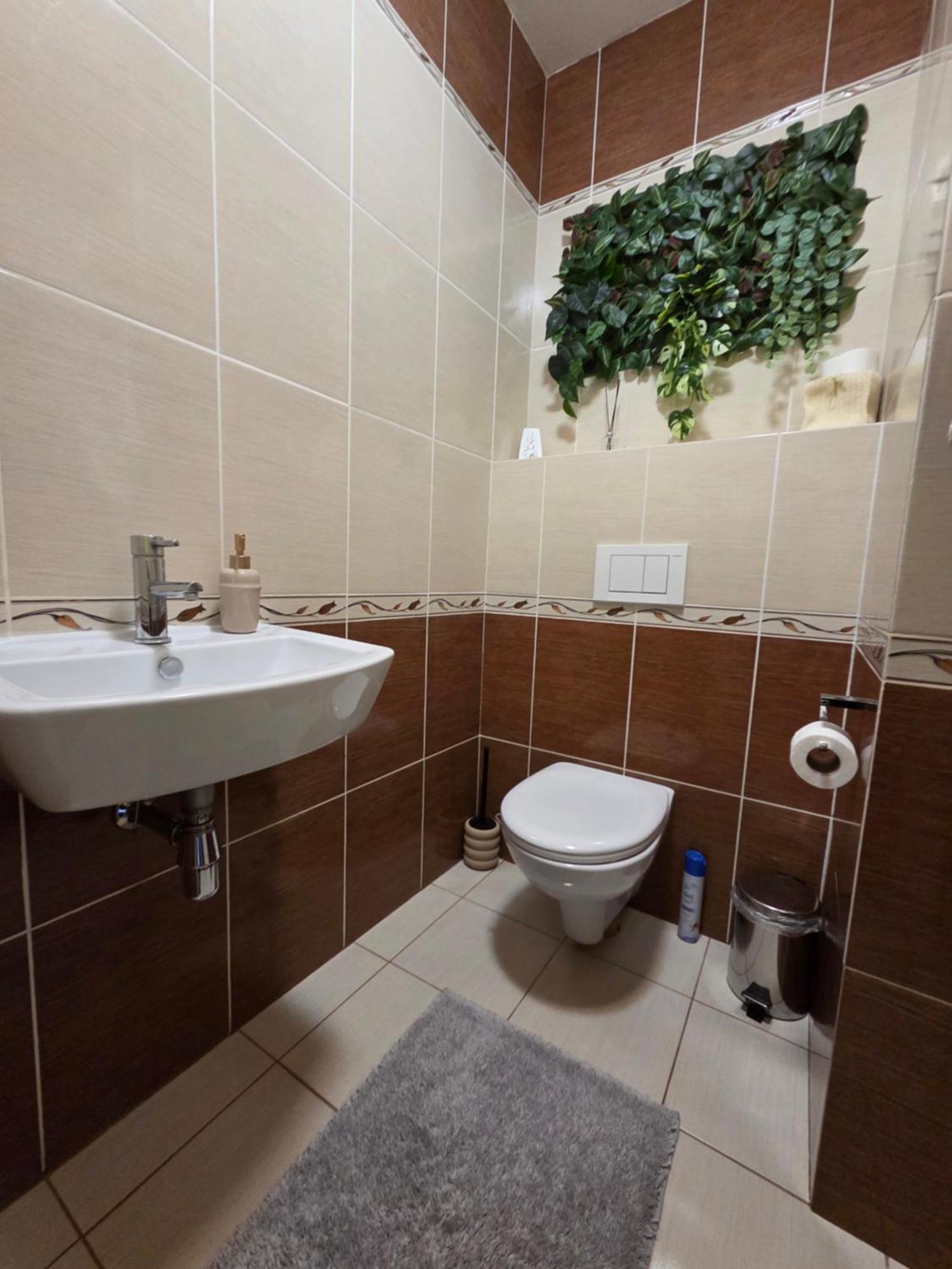 Apartment High Tatras Veľký Slavkov Eksteriør billede